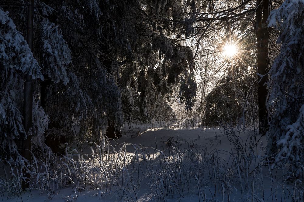 ein kleiner Lichtblick