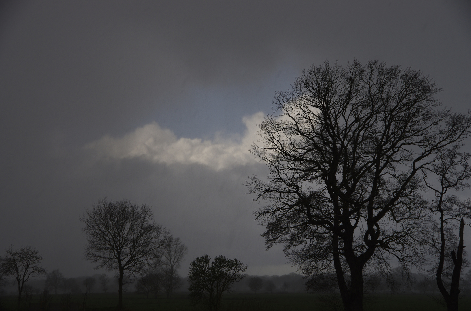 Ein kleiner Lichtblick