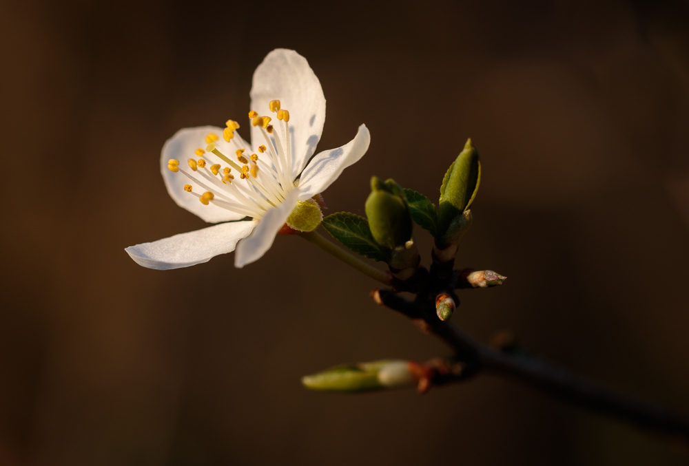 Ein kleiner Lichtblick