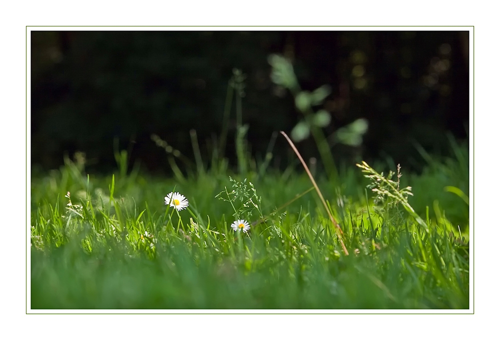 Ein kleiner Lichtblick...