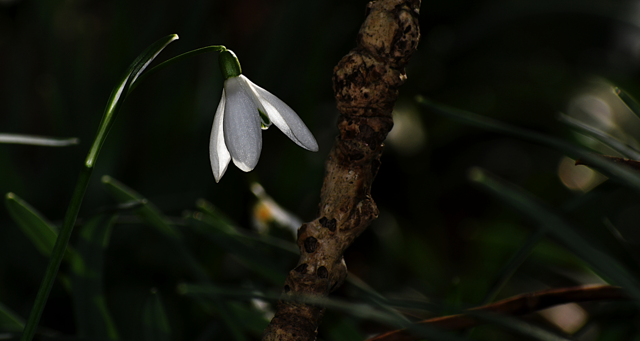 Ein kleiner Lichtblick.........,