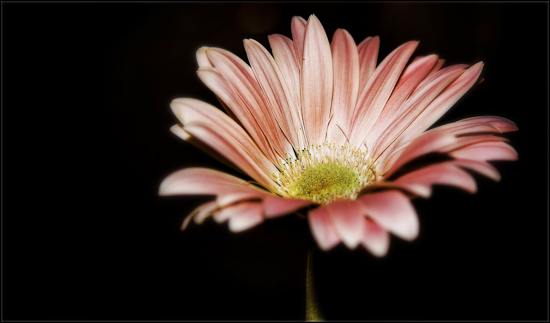 ein kleiner Lichtblick