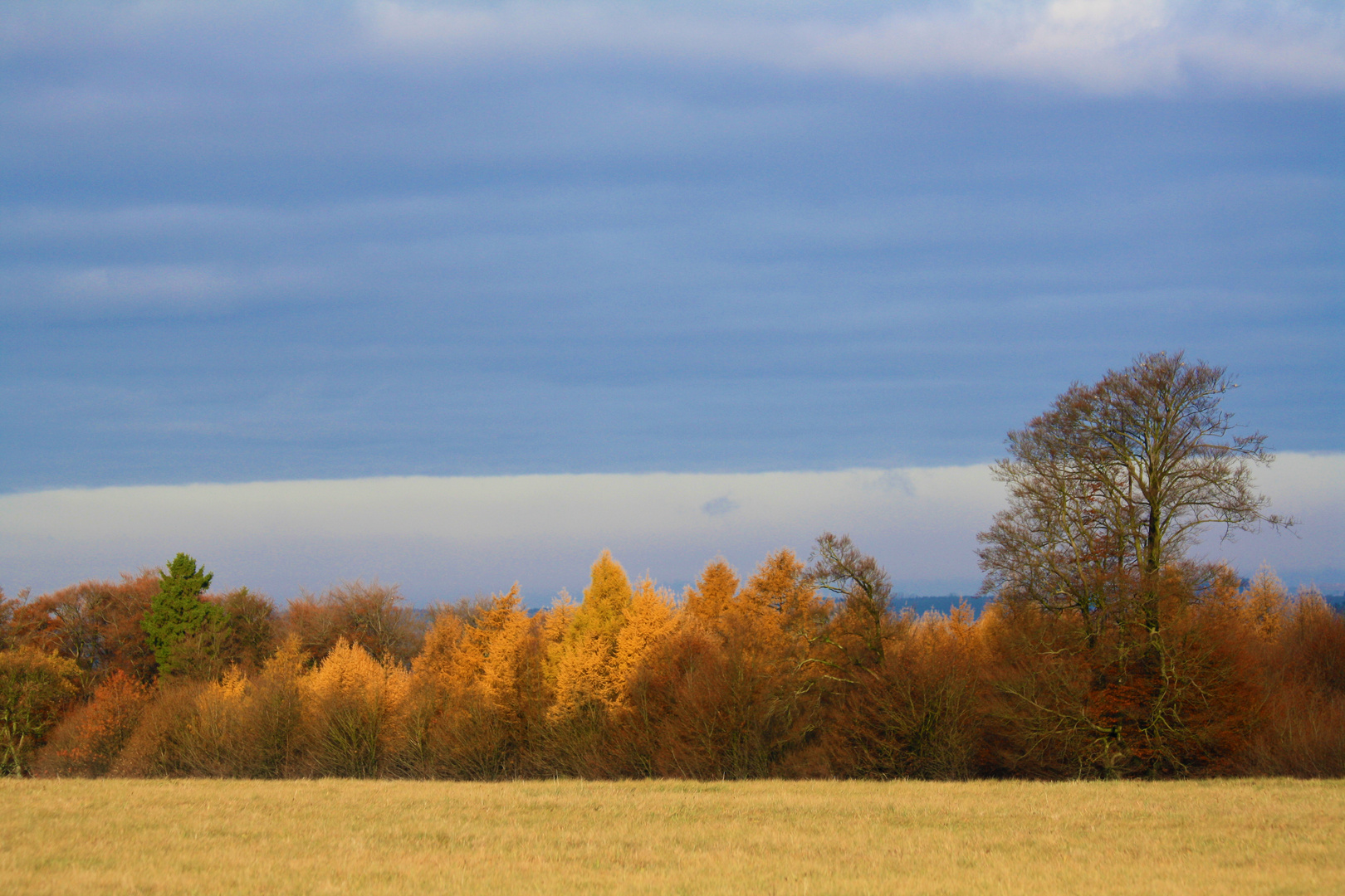 Ein kleiner Lichtblick im sonst eher trüben November