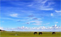 ein kleiner Moment Baltrum