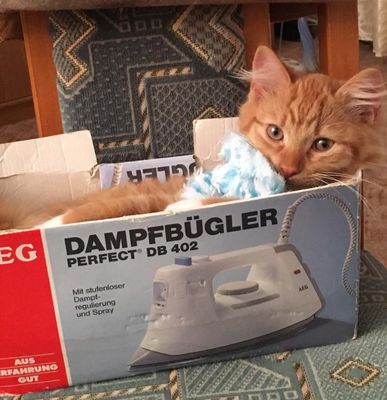 Ein kleiner Rückblick