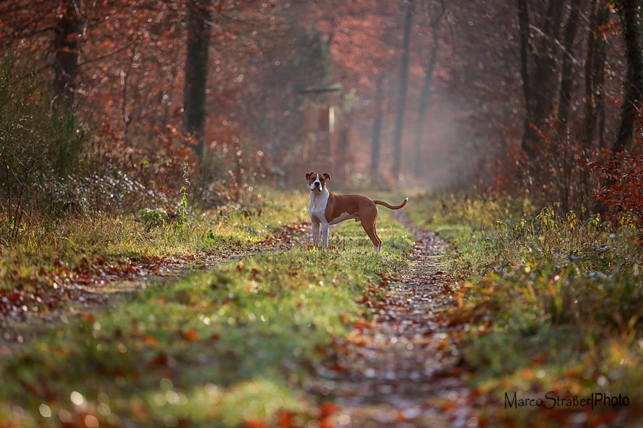 ein kleiner Rückblick in den kühlen Herbst ;-)