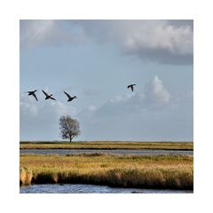 ein kleiner Rundflug