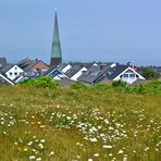  Ein kleiner Rundgang auf Helgoland (2) 