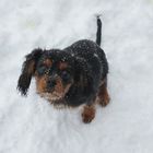 Ein kleiner schwarzer Schneemann