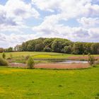 Ein kleiner See an einem kleinen Waldgebiet