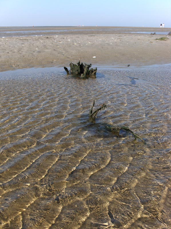 Ein kleiner See im Wattmeer