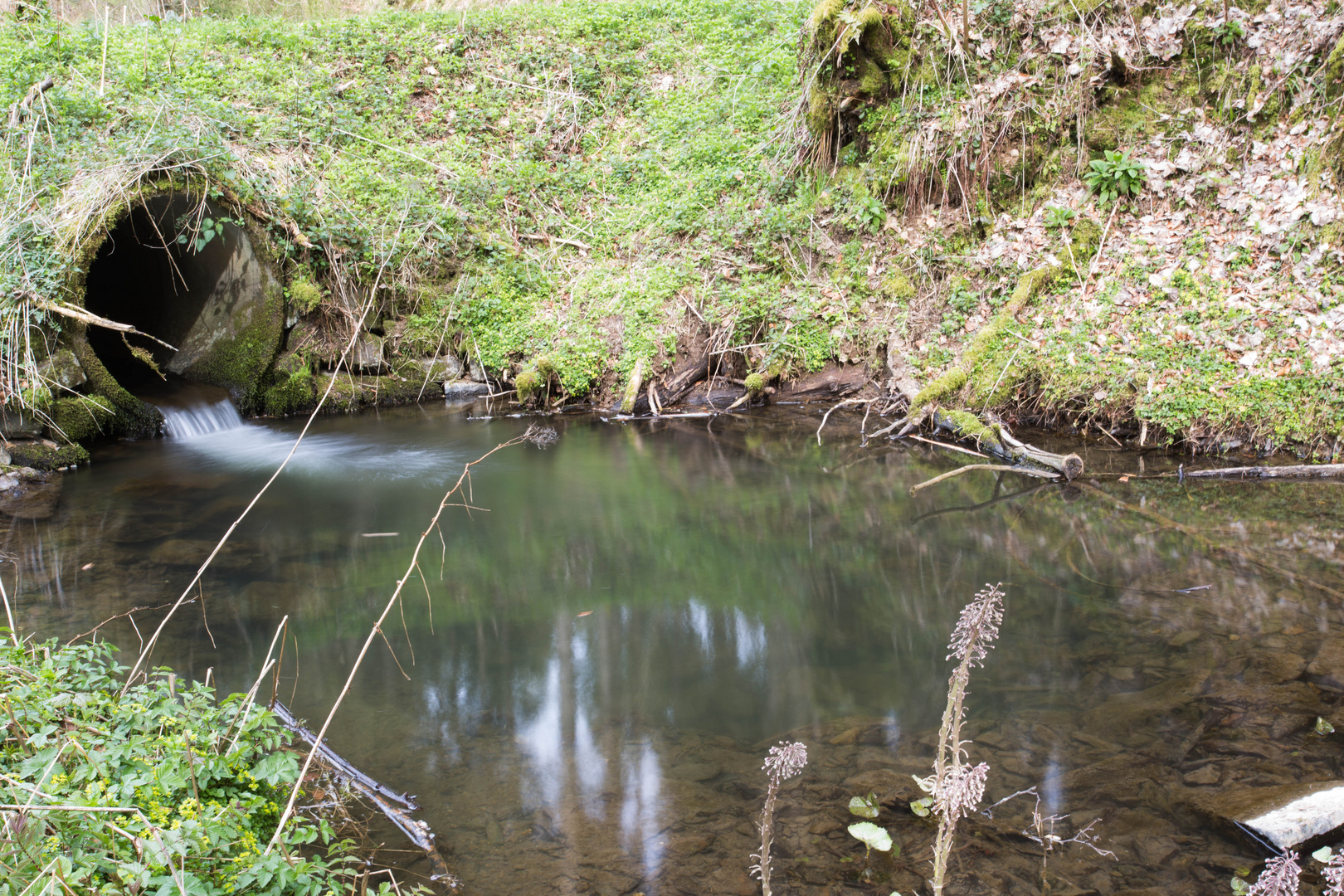 ein kleiner See in der Natur