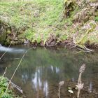 ein kleiner See in der Natur