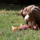 Ein kleiner Snack