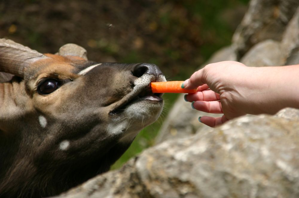 ein kleiner Snack (Teil 2)