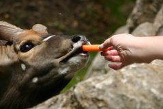 ein kleiner Snack (Teil 2)