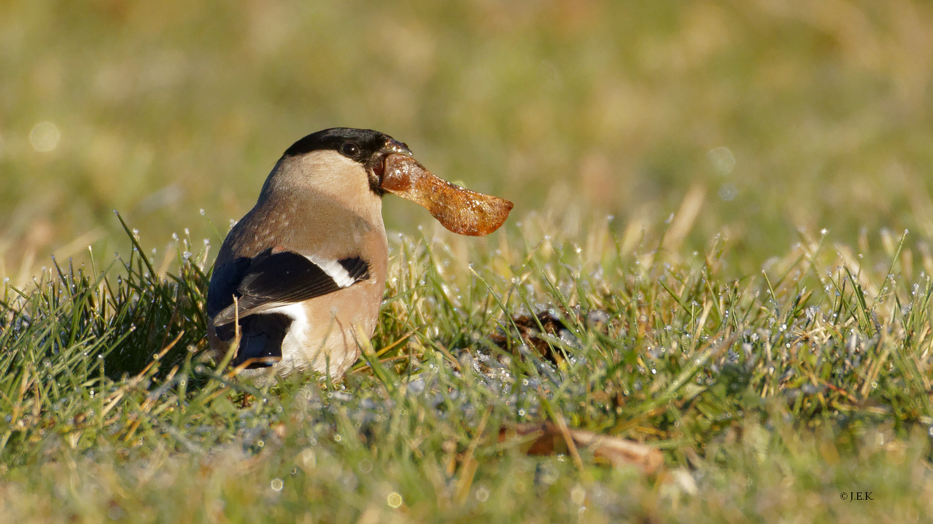 Ein kleiner Snack zwischendurch