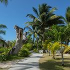 ...ein kleiner Spaziergang auf den Wegen der Island Lodge...