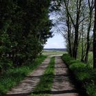 Ein kleiner Spaziergang durch den Wald