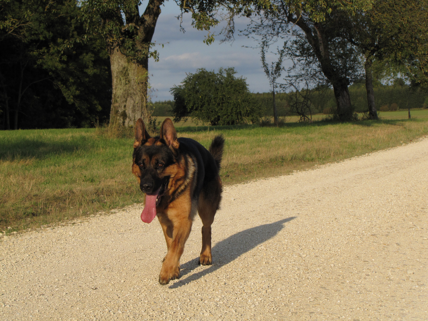 Ein kleiner Spaziergang