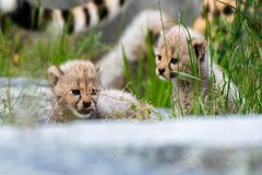 Ein kleiner Sprung, und ich bin oben. 