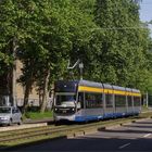 Ein kleiner Stadtbahneindruck aus dem grünen Leipzig