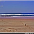 ein kleiner Südafrikaner alleine beim Spielen am Strand