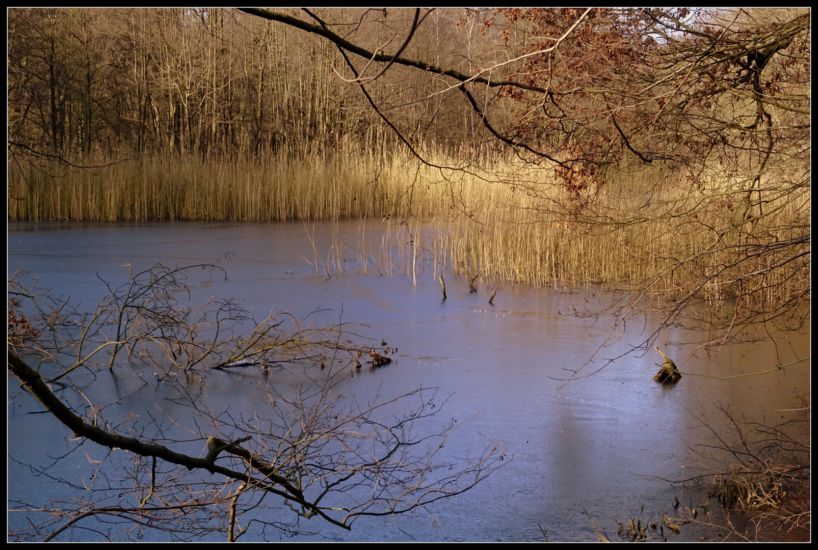 Ein kleiner Teich