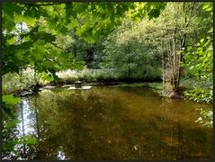 Ein kleiner Teich...