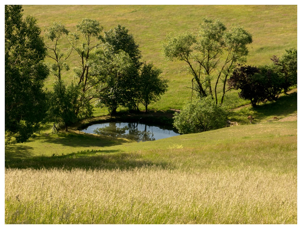 Ein kleiner Teich