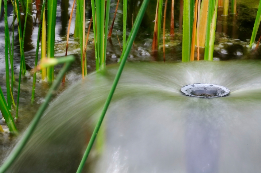 ein kleiner Teichbrunnen