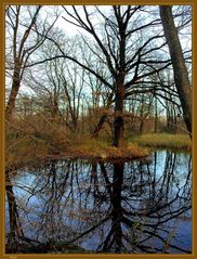 ein kleiner versteckter See...aber doch gefunden - still und einfach schön - auch im November  (069)