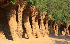 Ein kleiner Wald im Park Güell