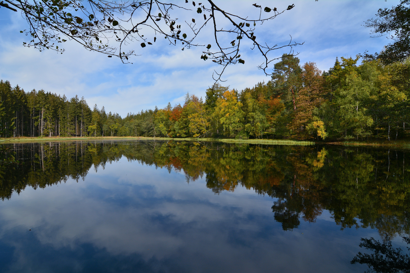  Ein kleiner Waldsee