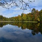  Ein kleiner Waldsee