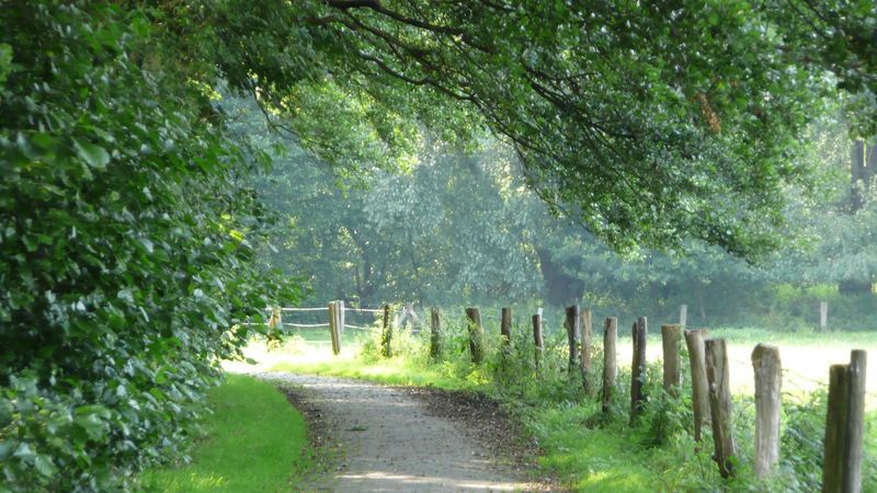 Ein kleiner Wanderweg hinterm Deich