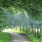 Ein kleiner Wanderweg hinterm Deich