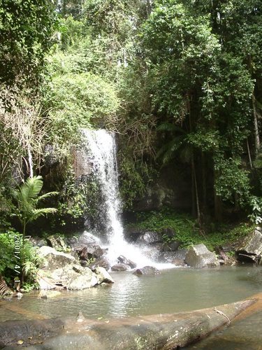 Ein kleiner Wasserfall in der Nähe von Brisbane