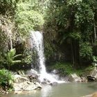 Ein kleiner Wasserfall in der Nähe von Brisbane