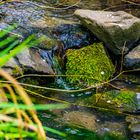 ein kleiner Wasserfall mit eine kleine Wirkung