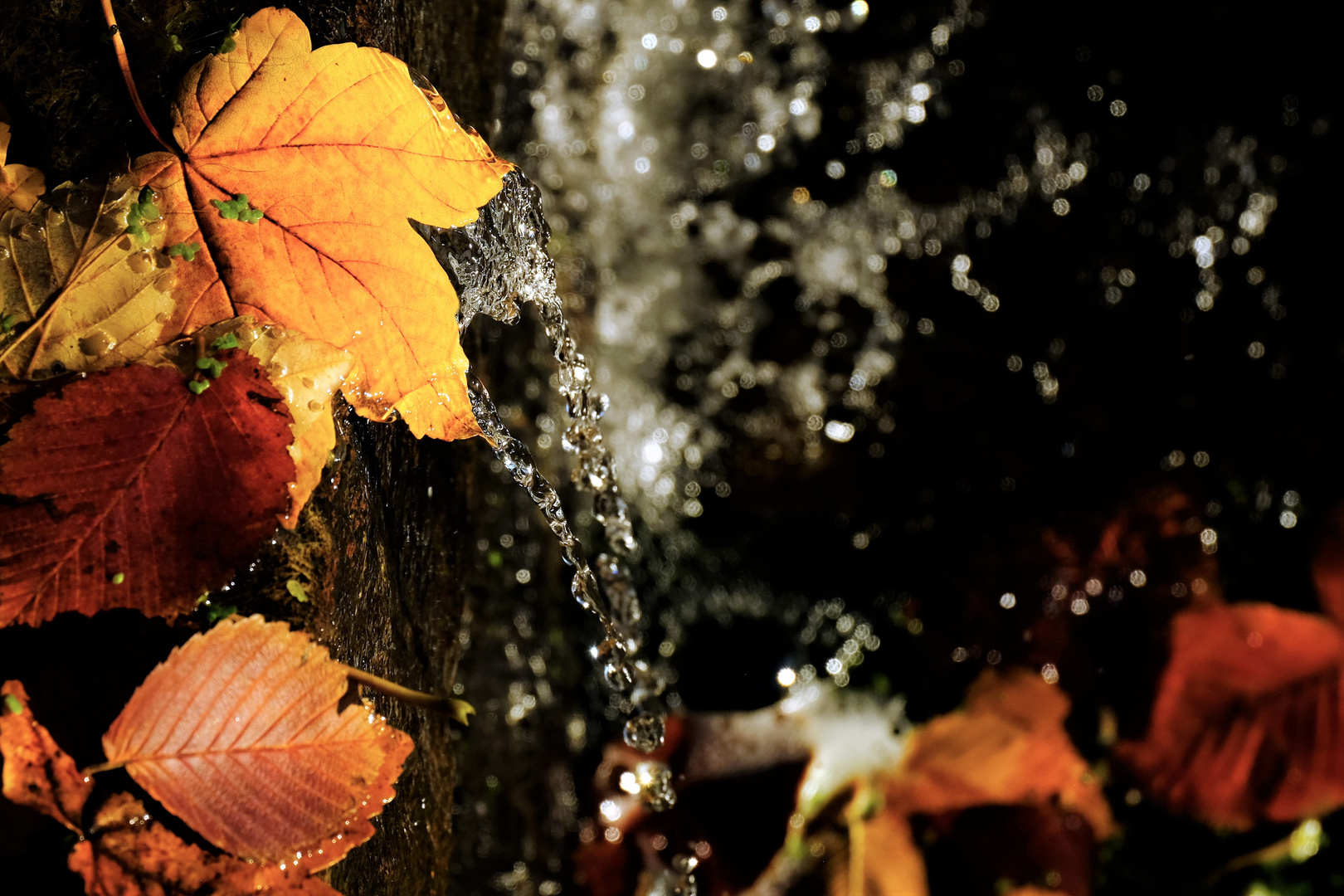 Ein kleiner Wasserfall  mit Herbstlaub 