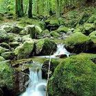 ein kleiner Wasserfall voller Hoffnung.