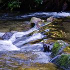 Ein kleiner Wasserlauf