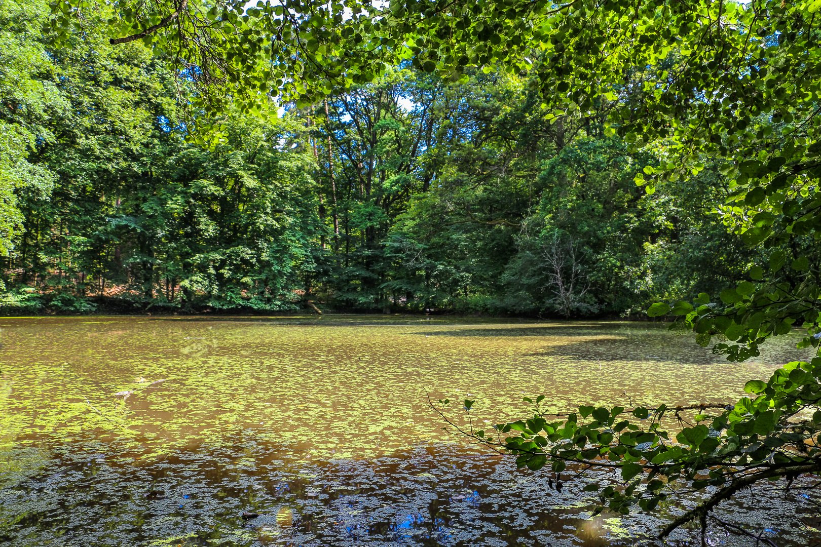 Ein kleiner Weiher