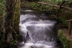 ein kleiner Wildbach