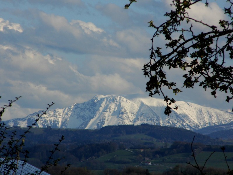 ein kleiner wintergruß im Frühling