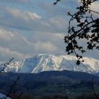 ein kleiner wintergruß im Frühling