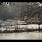 Ein kleiner Winterspaziergang 2