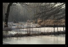 Ein kleiner Winterspaziergang 2