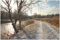 Ein kleiner Winterspaziergang